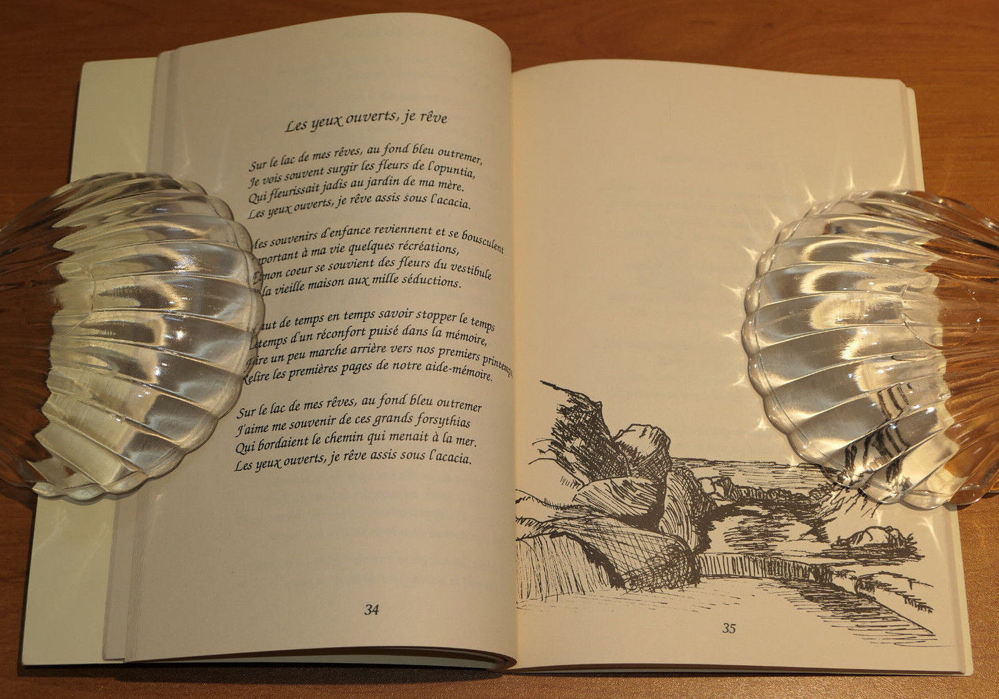 MAX DELUGIN / INFLORESCENCE / ILLUSTRATIONS POESIE JARDIN FLEURS / 1998
