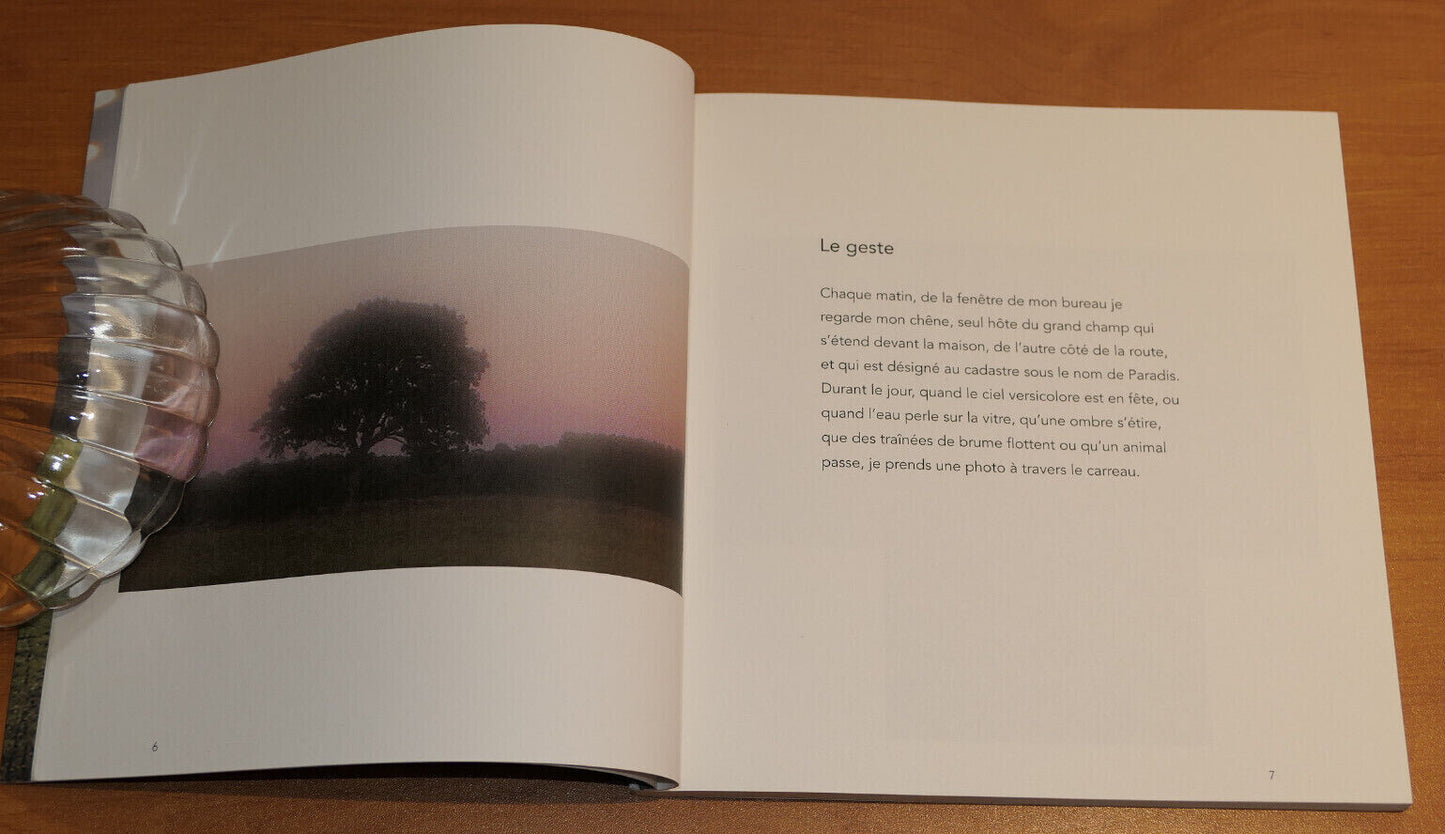 UN CHENE / BELINDA CANNONE / LE VISTEMBOIR 2016