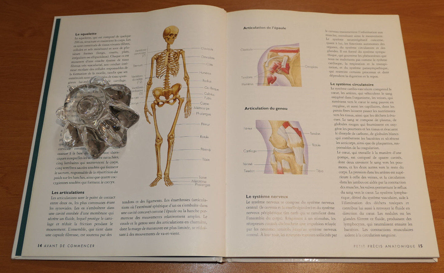 LE LIVRE DU MASSAGE / SUSAN MUMFORD / TECHNIQUES CORPS HUILES PHOTOS / 2002