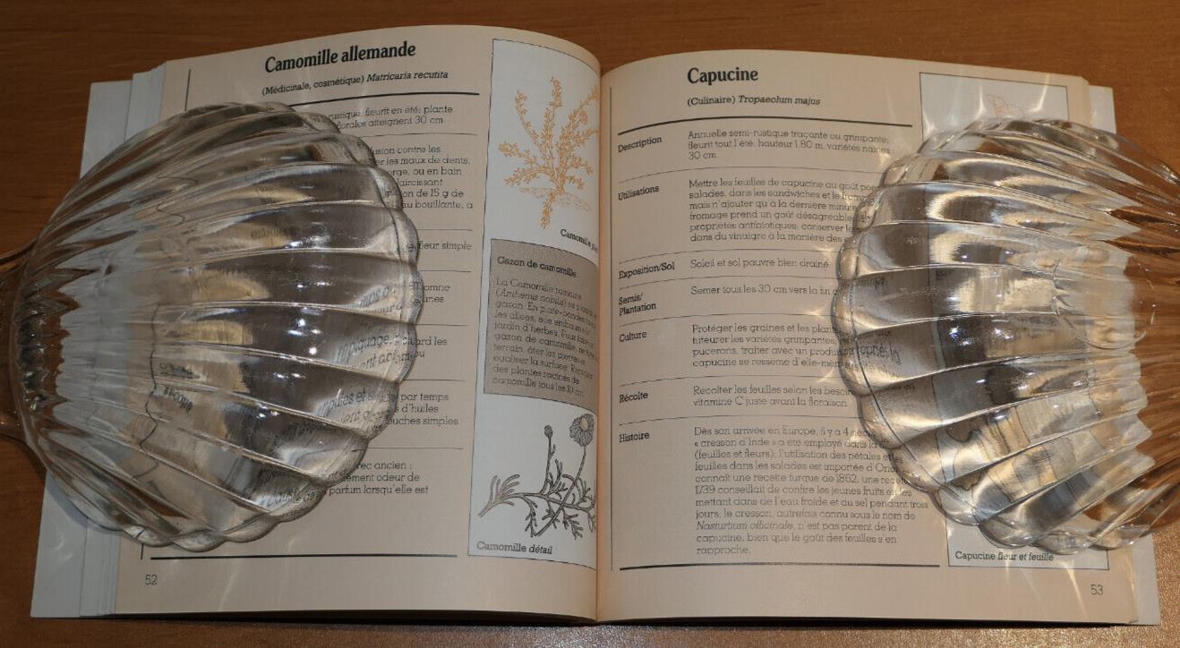 LES HERBES / ANN BONAR / GUIDE ANTHESE 1983 JARDIN POTAGER INFUSIONS NATURE