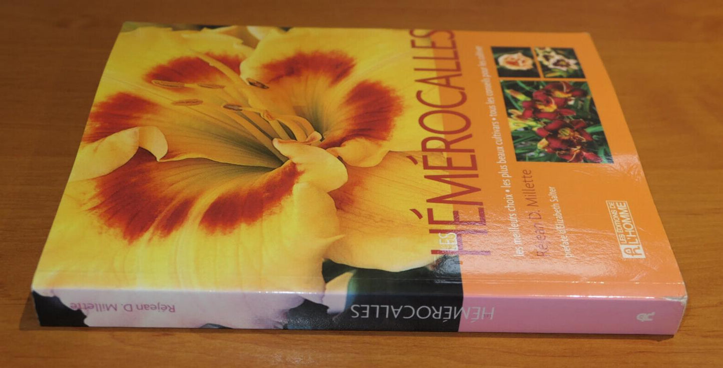 LES HEMEROCALLES / MILLETTE / CULTIVARS CONSEILS JARDIN HORTICULTURE PHOTOS 2005