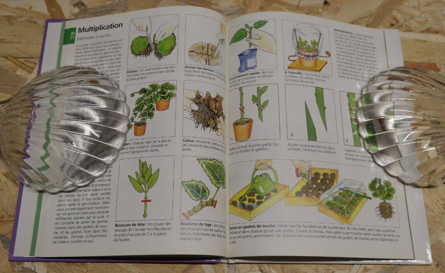TERRASSES ET BALCONS FLEURIS / KARL-ERNST KELTER / GUIDE PRATIQUE TECHNIQUE 1993