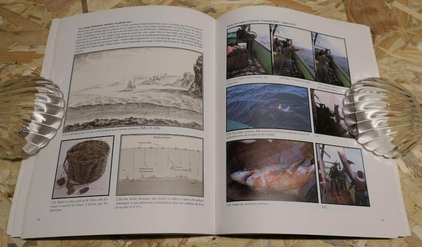 PECHEURS DE LA MANCHE / METIERS ET TECHNIQUES SAINT-VAAST-LA HOUGUE PECHE MARINE
