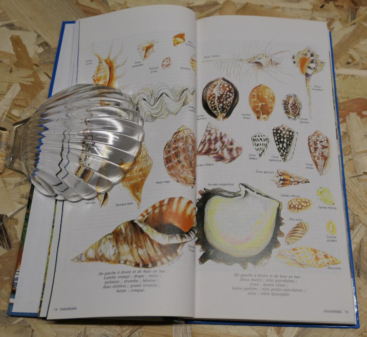 TAHITI AUJOURD'HUI ET TOUTES SES ILES / ARLETTE EYRAUD / VOYAGE PHOTOS 1995