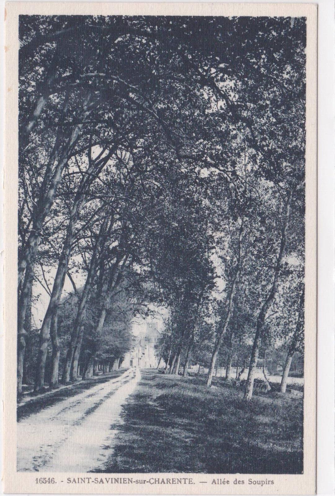 CARTE POSTALE ANCIENNE CPA SAINT-SAVINIEN-SUR-CHARENTE ALLEE DES SOUPIRS