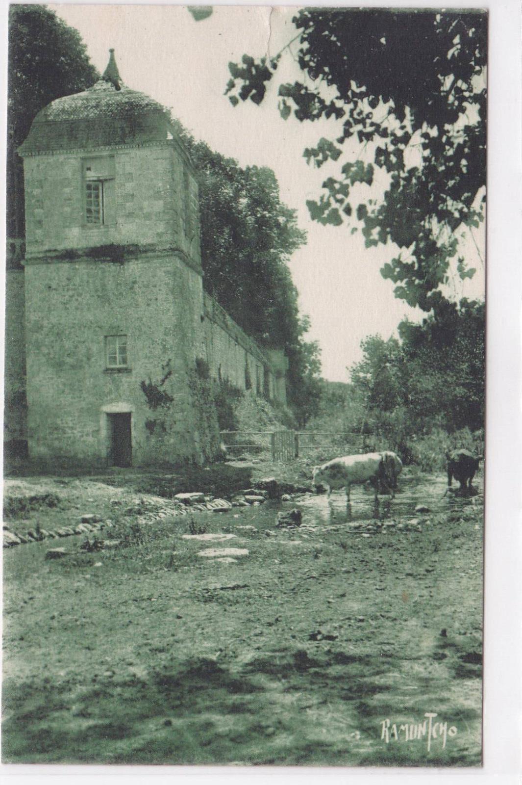 CARTE POSTALE ANCIENNE CPA ENVIRONS DE SAINTES ST-PORCHAIRE REMPARTS DU CHATEAU