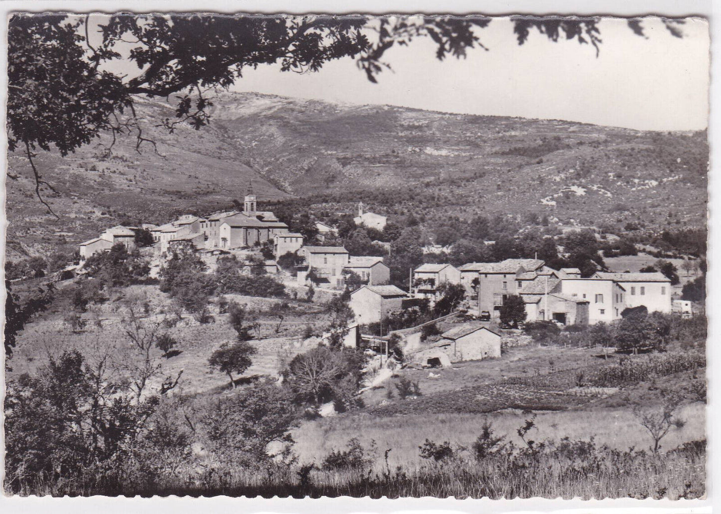 CARTE POSTALE CPSM ST-JULIEN-DU-VERDON VUE GENERALE