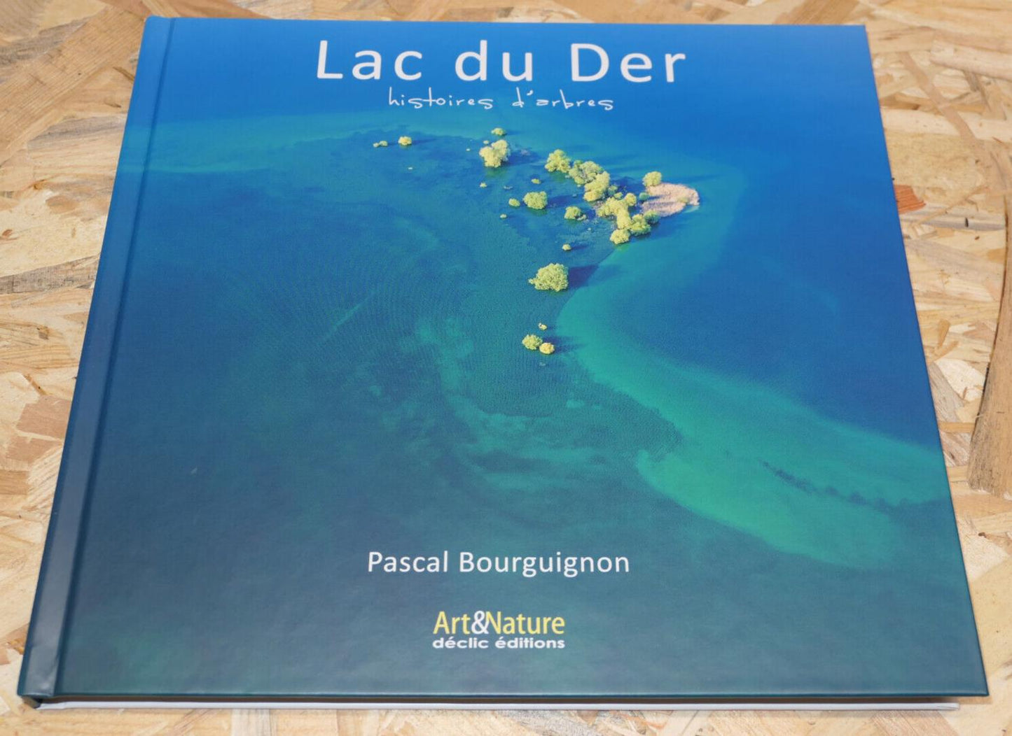 LAC DU DER HISTOIRES D'ARBRES / PASCAL BOURGUIGNON / MARNE PHOTOS VOYAGE 2016