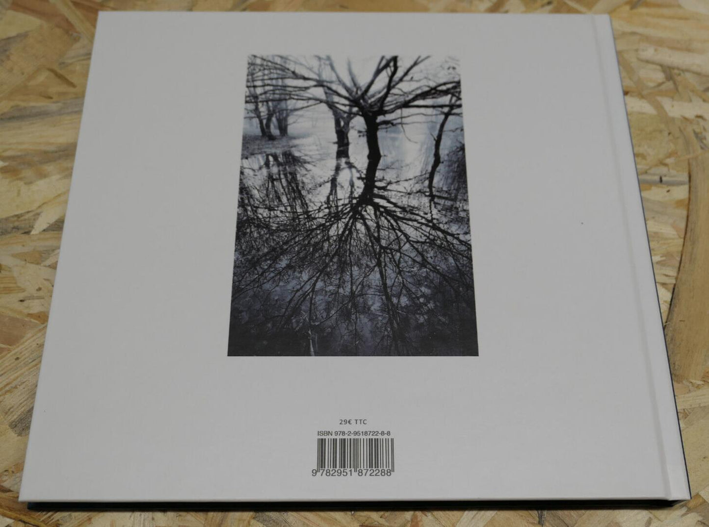 LAC DU DER HISTOIRES D'ARBRES / PASCAL BOURGUIGNON / MARNE PHOTOS VOYAGE 2016