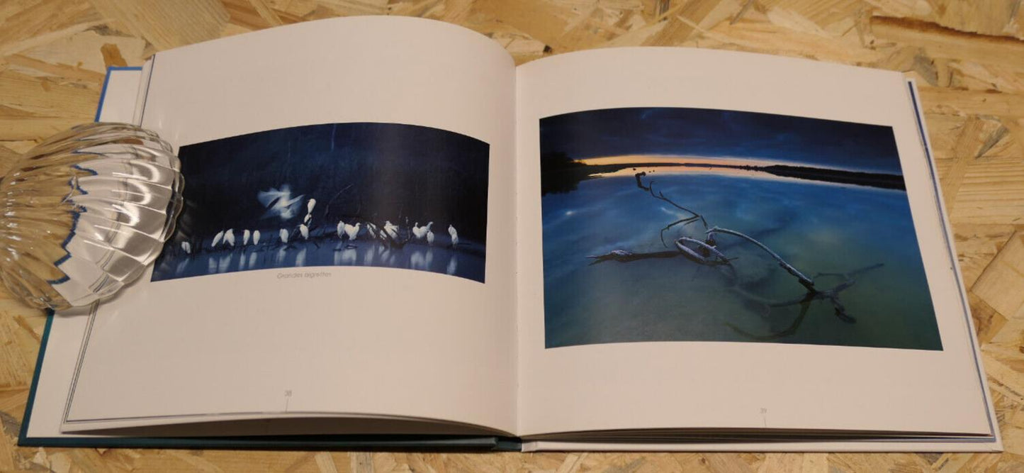 LAC DU DER HISTOIRES D'ARBRES / PASCAL BOURGUIGNON / MARNE PHOTOS VOYAGE 2016