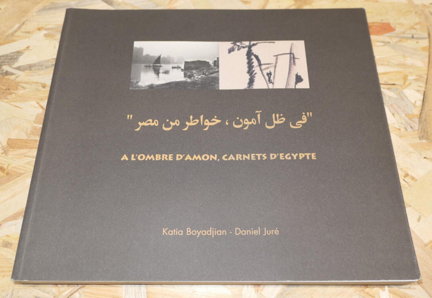 A L'OMBRE D'AMON CARNETS D'EGYPTE / PHOTOS ENCRES DESSINS POEMES LETTRES / 2000