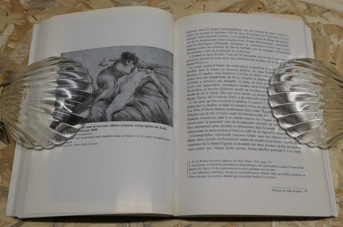 HISTOIRES DU PENIS / ETHNOLOGIE MYTHOLOGIE MEDECINE ART PSYCHOLOGIE / 2000