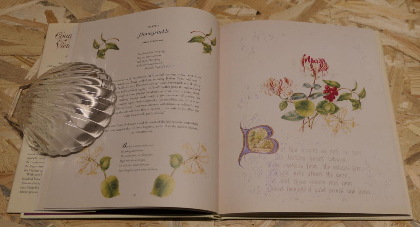 THE COUNTRY FLOWERS OF A VICTORIAN LADY / FANNY ROBINSON / NATURE ART