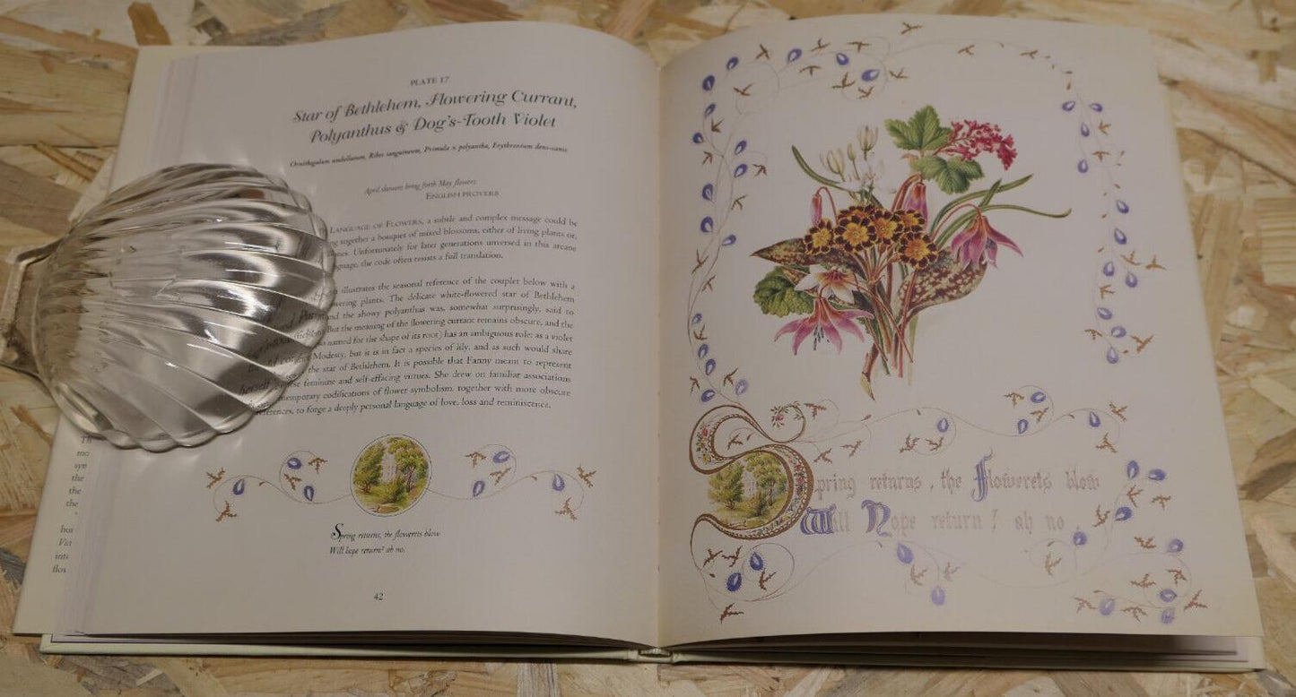 THE COUNTRY FLOWERS OF A VICTORIAN LADY / FANNY ROBINSON / NATURE ART
