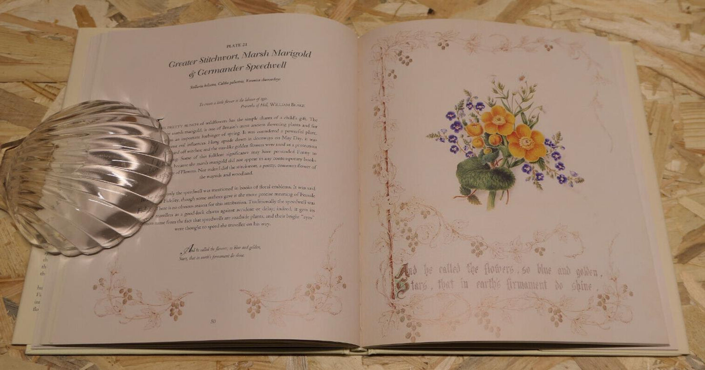 THE COUNTRY FLOWERS OF A VICTORIAN LADY / FANNY ROBINSON / NATURE ART