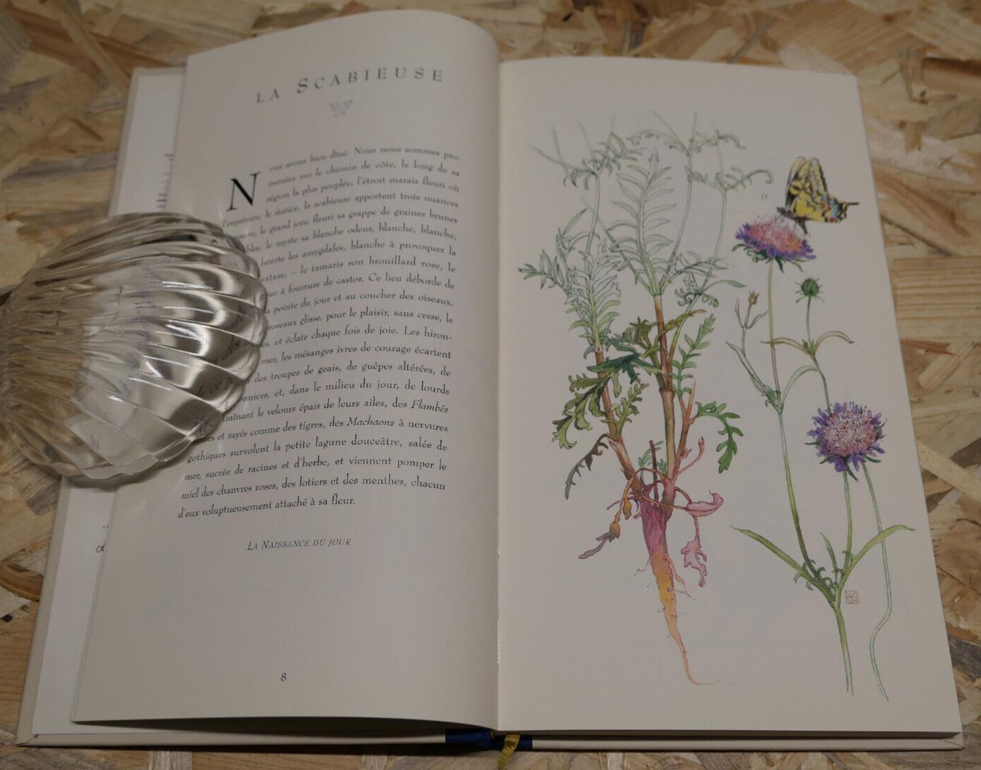 L'HERBIER DE COLETTE / MARTHE SEGUIN-FONTES / FLEURS PLANTES NATURE ART / 1997