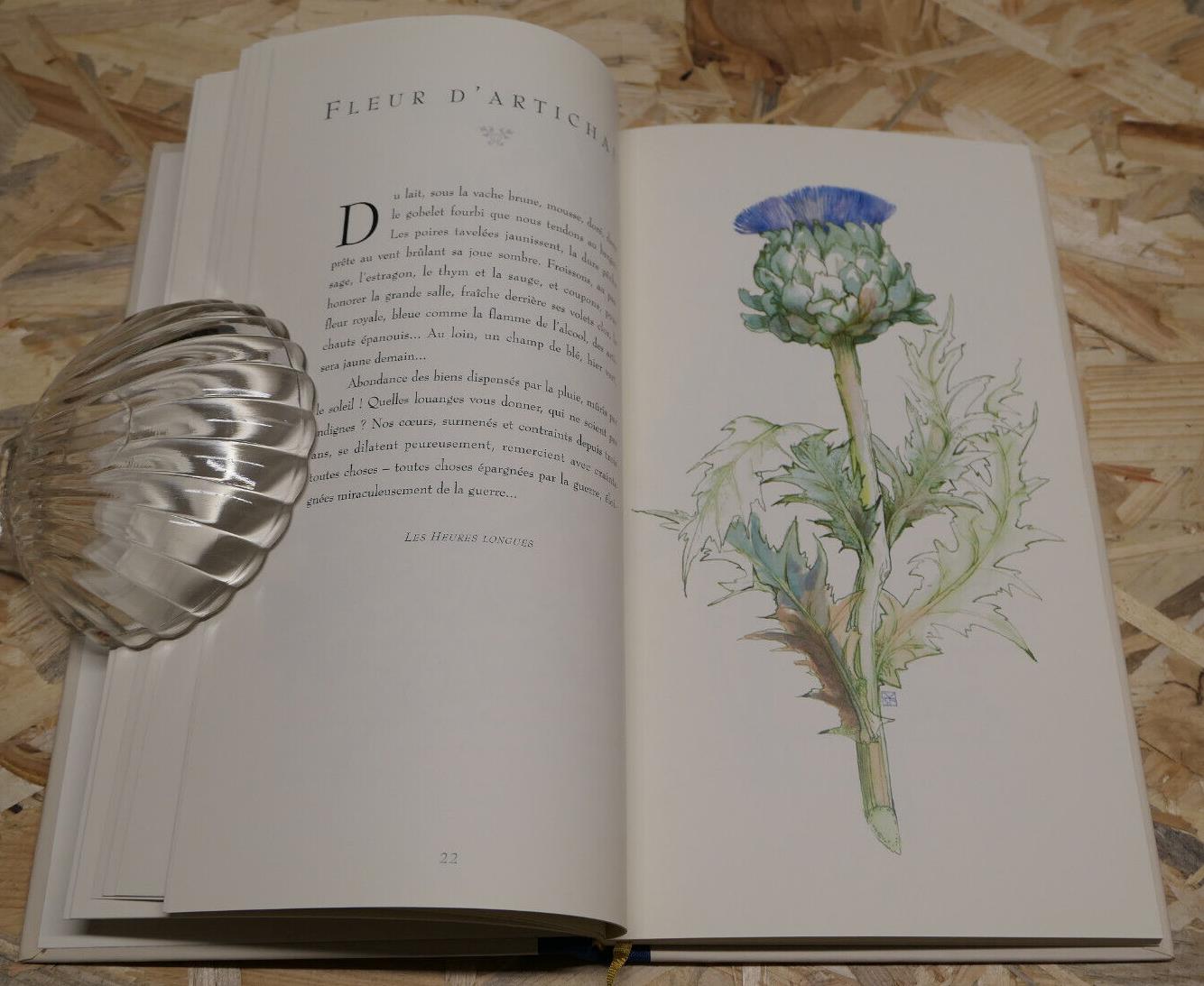L'HERBIER DE COLETTE / MARTHE SEGUIN-FONTES / FLEURS PLANTES NATURE ART / 1997