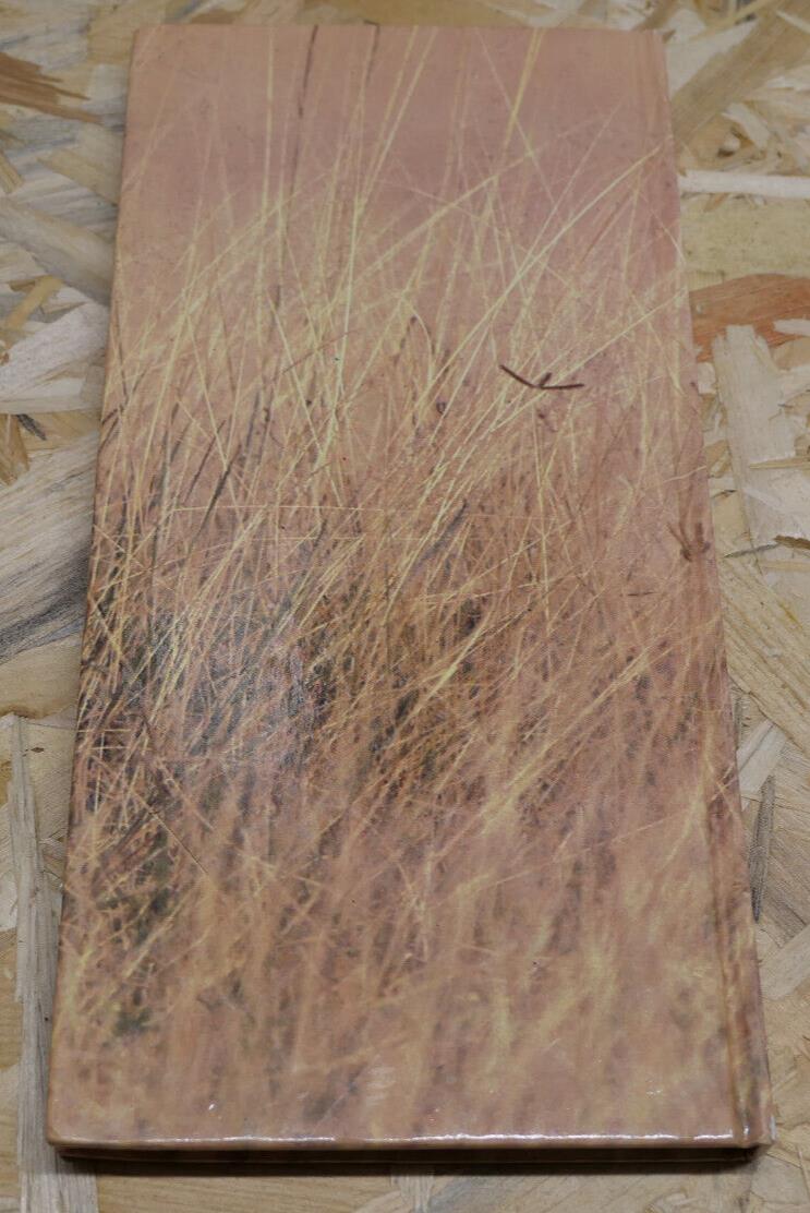 LE KENYA AUJOURD'HUI PAR MYLENE REMY / AFRIQUE PHOTOS VOYAGE / 1985