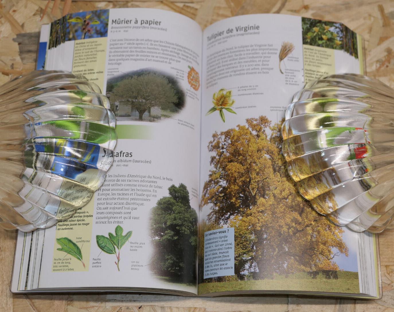 350 ARBRES ET ARBUSTES / DELACHAUX ET NIESTLE 2010 / BOTANIQUE NATURE PHOTOS