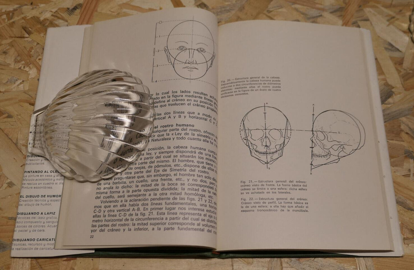 DIBUJANDO LA CABEZA HUMANA ANATOMIA ESTUDIO Y DIBUJO / CALDERON / CEAC 1971