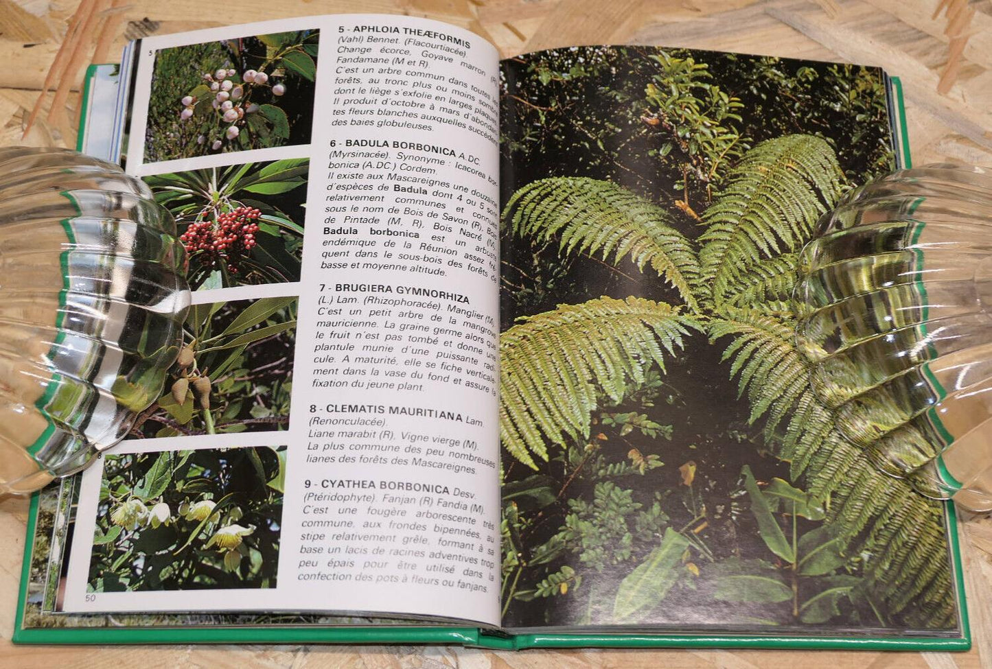 FLEURS ET PLANTES DE LA REUNION ET DE L'ILE MAURICE / 150 ESPECES PHOTOS NATURE
