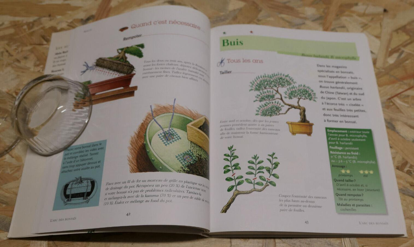 L'ABC DES BONSAIS 450 DESSINS GESTE PAR GESTE 35 ESPECES / RUSTICA EDITIONS 2007