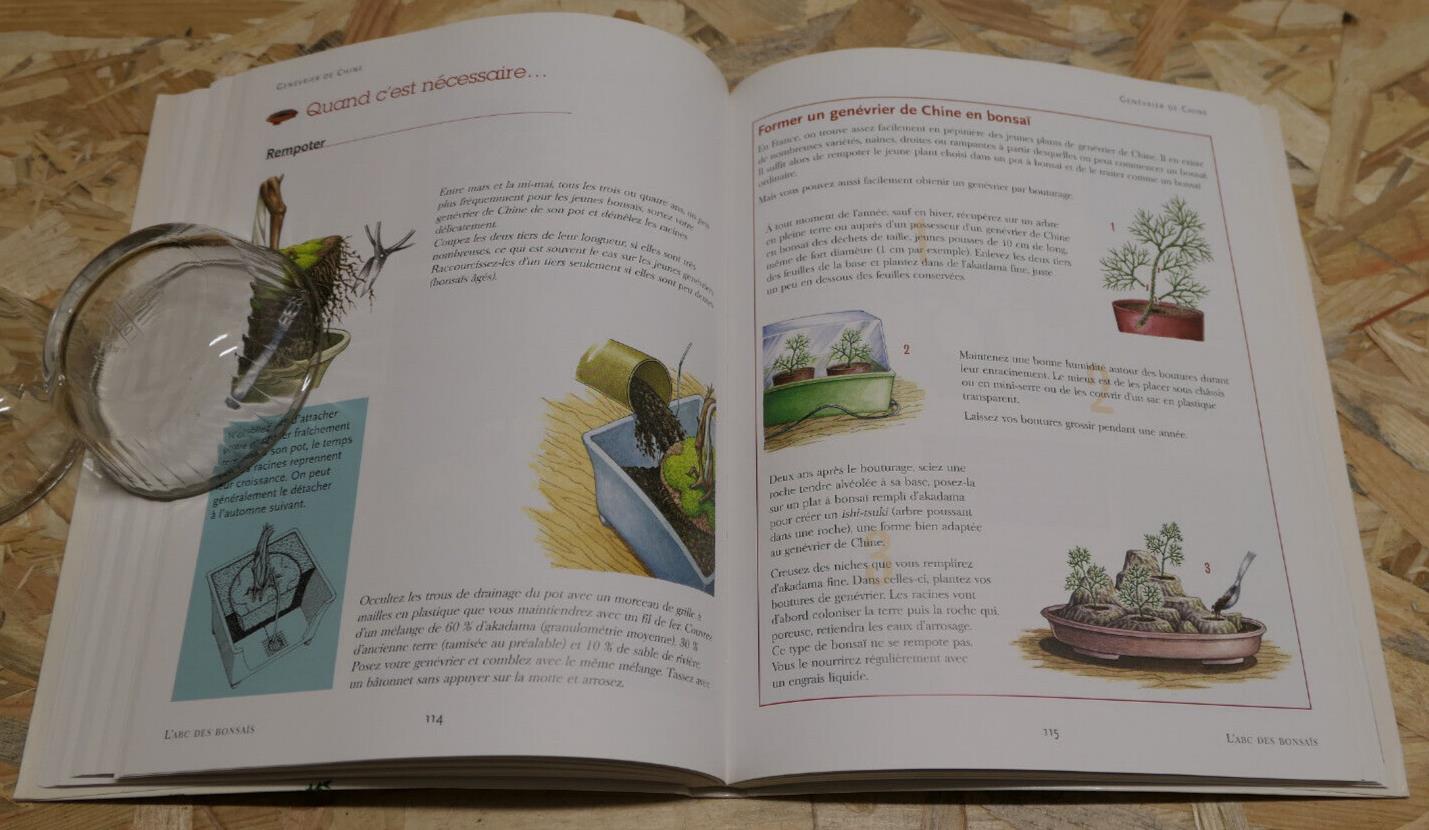 L'ABC DES BONSAIS 450 DESSINS GESTE PAR GESTE 35 ESPECES / RUSTICA EDITIONS 2007