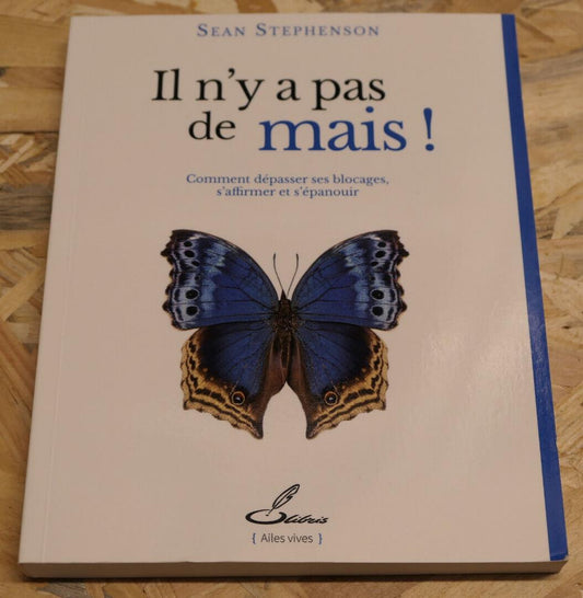 IL N'Y A PAS DE MAIS ! SEAN STEPHENSON / DEVELOPPEMENT PERSONNEL BIEN-ETRE 2017