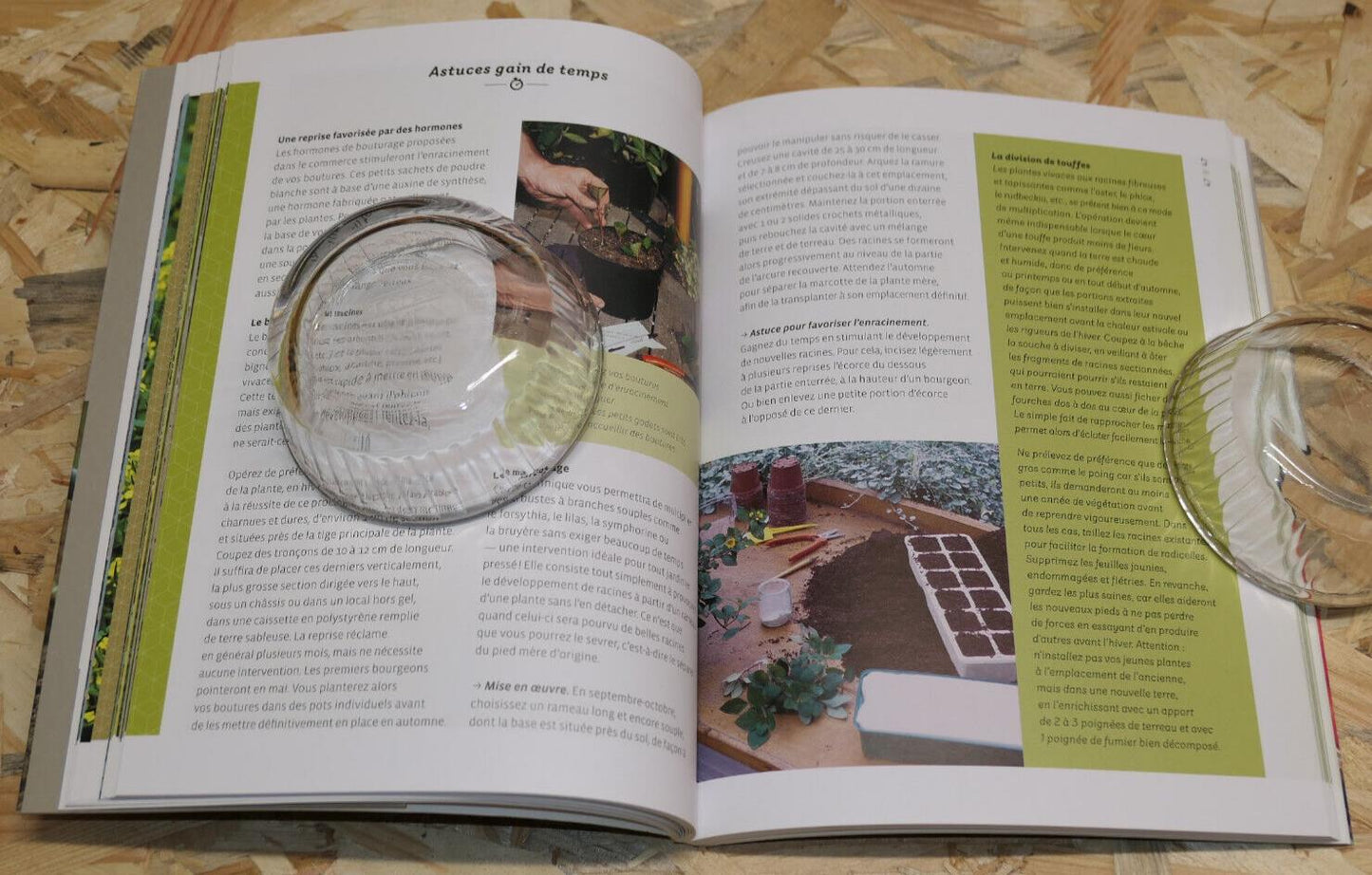 UN JARDIN SANS PEINE / MICHEL CARON / RUSTICA EDITIONS TRUCS ASTUCES POTAGER