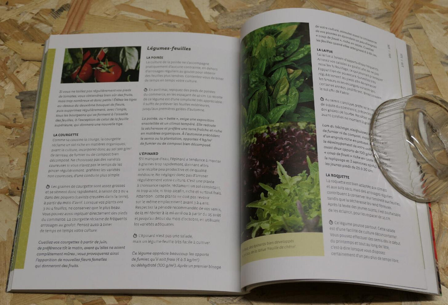 UN JARDIN SANS PEINE / MICHEL CARON / RUSTICA EDITIONS TRUCS ASTUCES POTAGER