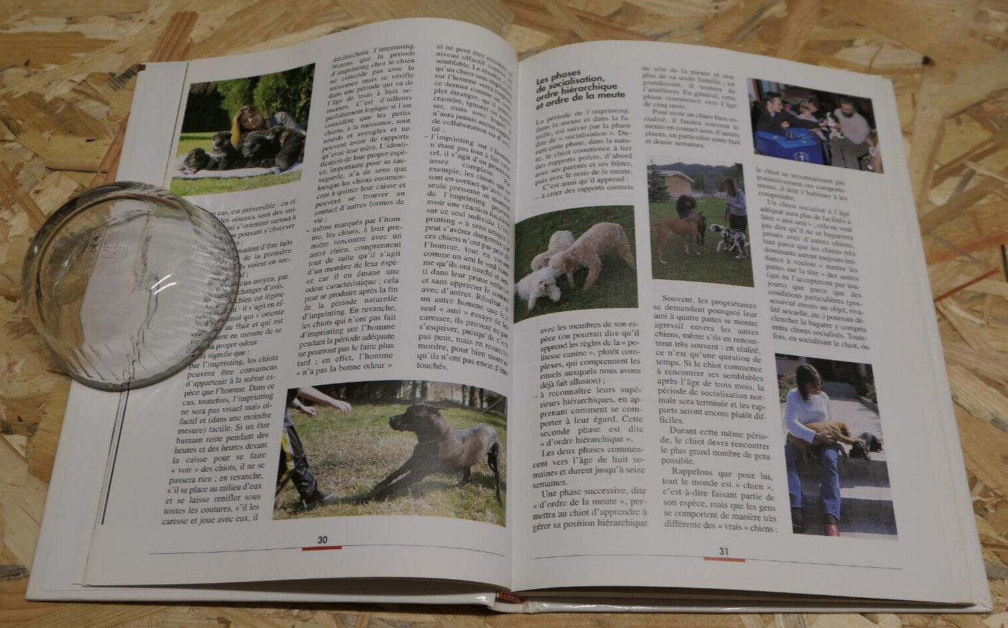 COMMENT EDUQUER LE CHIOT / EDUCATION CANINE CYNOPHILIE GUIDE PRATIQUE CONSEILS