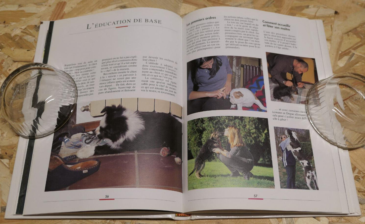 COMMENT EDUQUER LE CHIOT / EDUCATION CANINE CYNOPHILIE GUIDE PRATIQUE CONSEILS