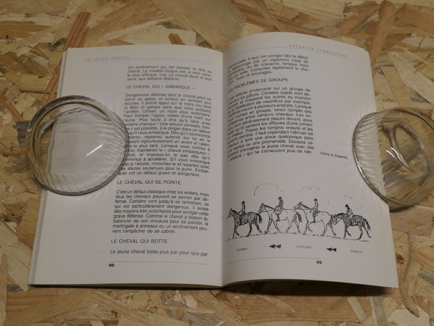 LE JEUNE CHEVAL EDUCATION DEBOURRAGE DRESSAGE ELEMENTAIRE METHODE / MALOINE 1995