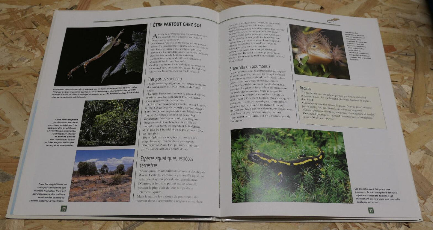 LE GRAND CATALOGUE DES BATRACIENS DU MONDE / NATURE ANIMAUX PHOTOS ESPECES