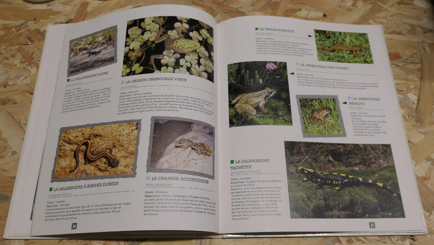 LE GRAND CATALOGUE DES BATRACIENS DU MONDE / NATURE ANIMAUX PHOTOS ESPECES