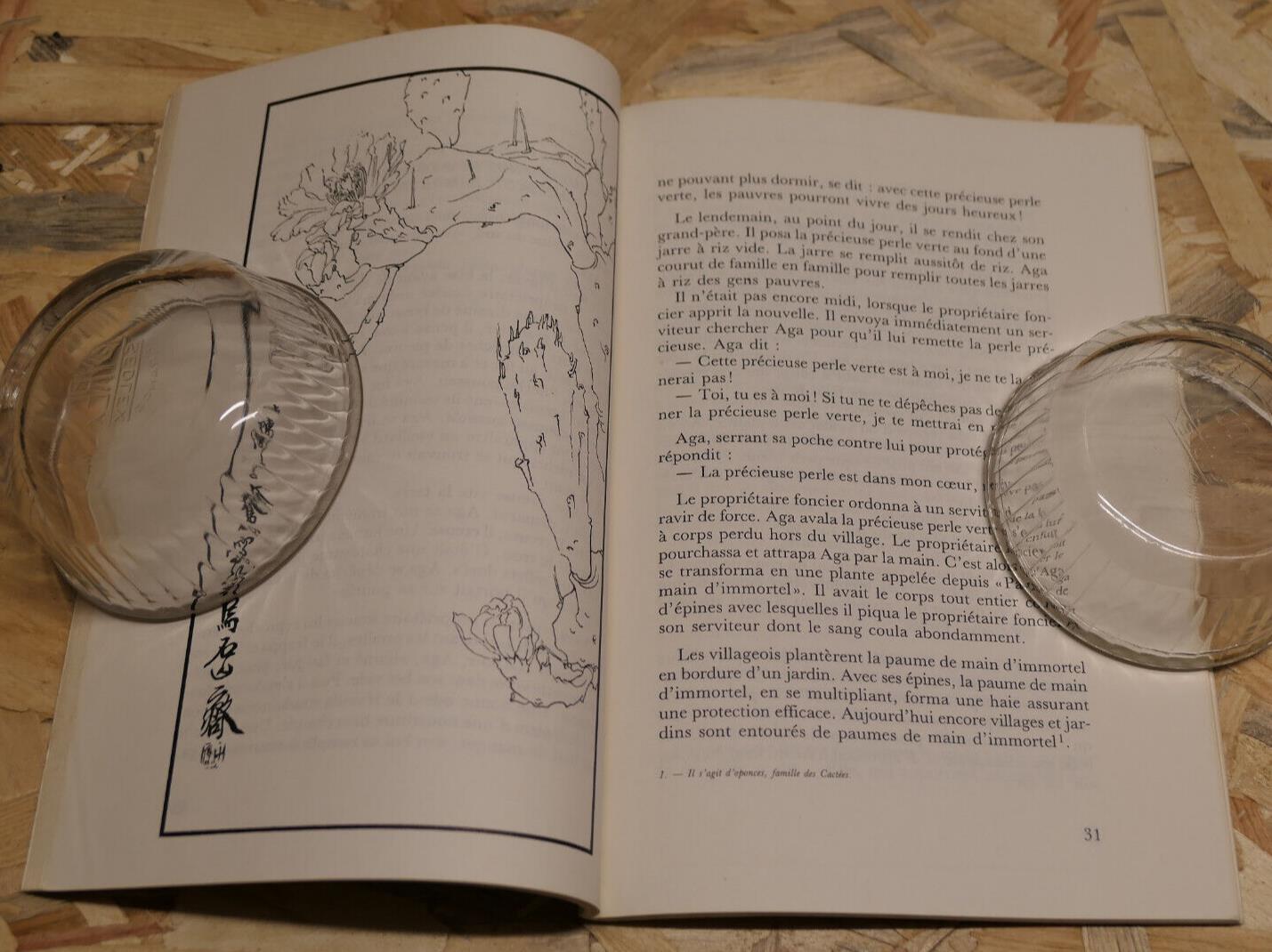 LE LAURIER DE LA LUNE OU LE JARDIN IMAGINAIRE DES CONTEURS CHINOIS L'ARBRE 1987