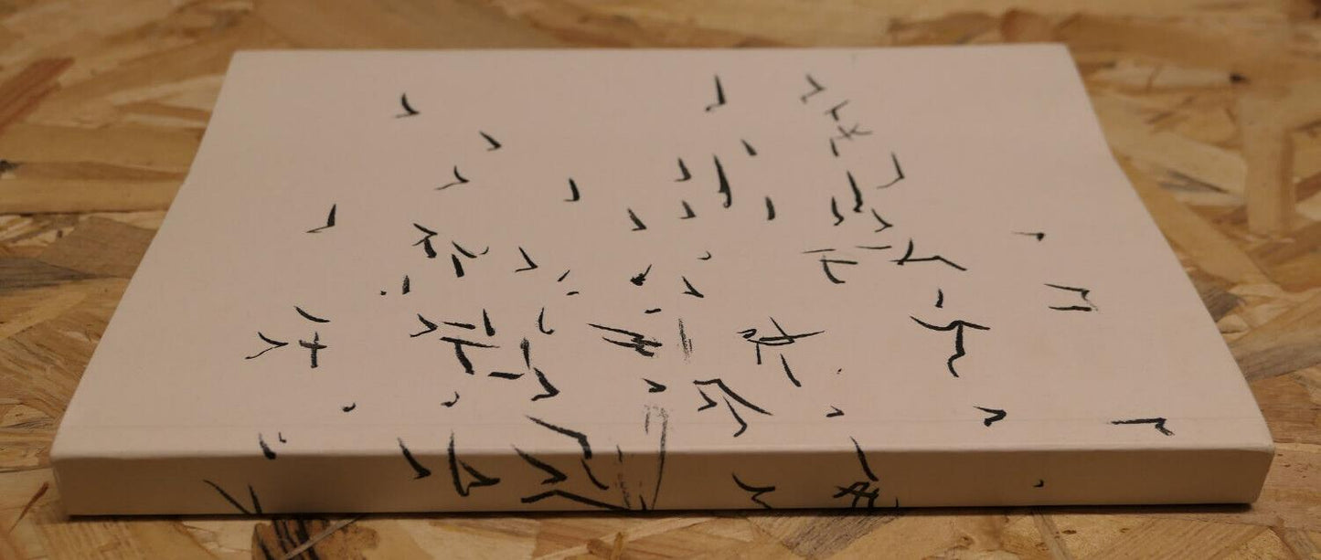 LA FUNDACIO ANTONI TAPIES BARCELONE / ART CONTEMPORAIN GRAPHISME PEINTURE / 2012