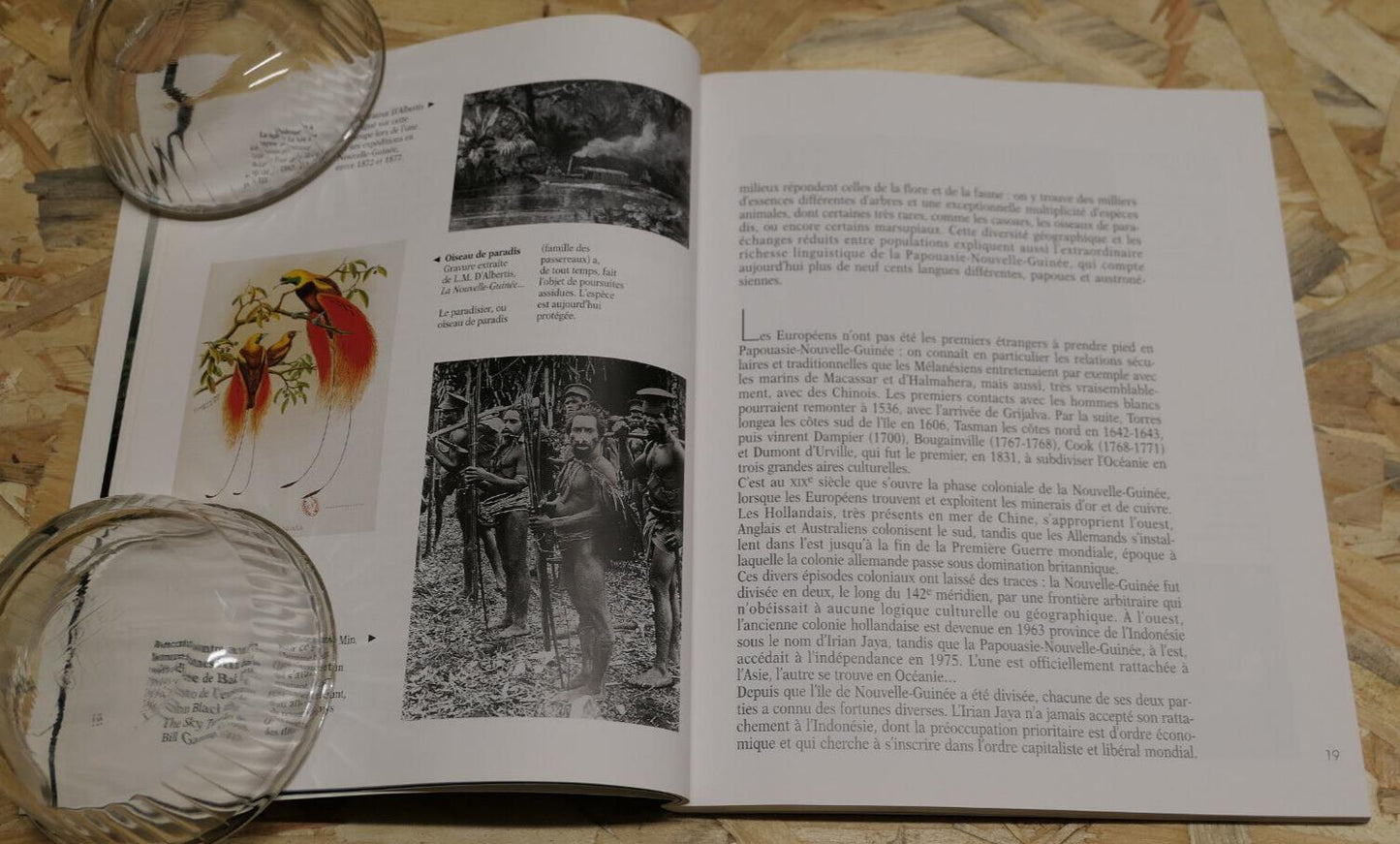 L'ART DES PAPOUS ET DES AUSTRONESIENS DE NOUVELLE-GUINEE / ALAIN NICOLAS 2000