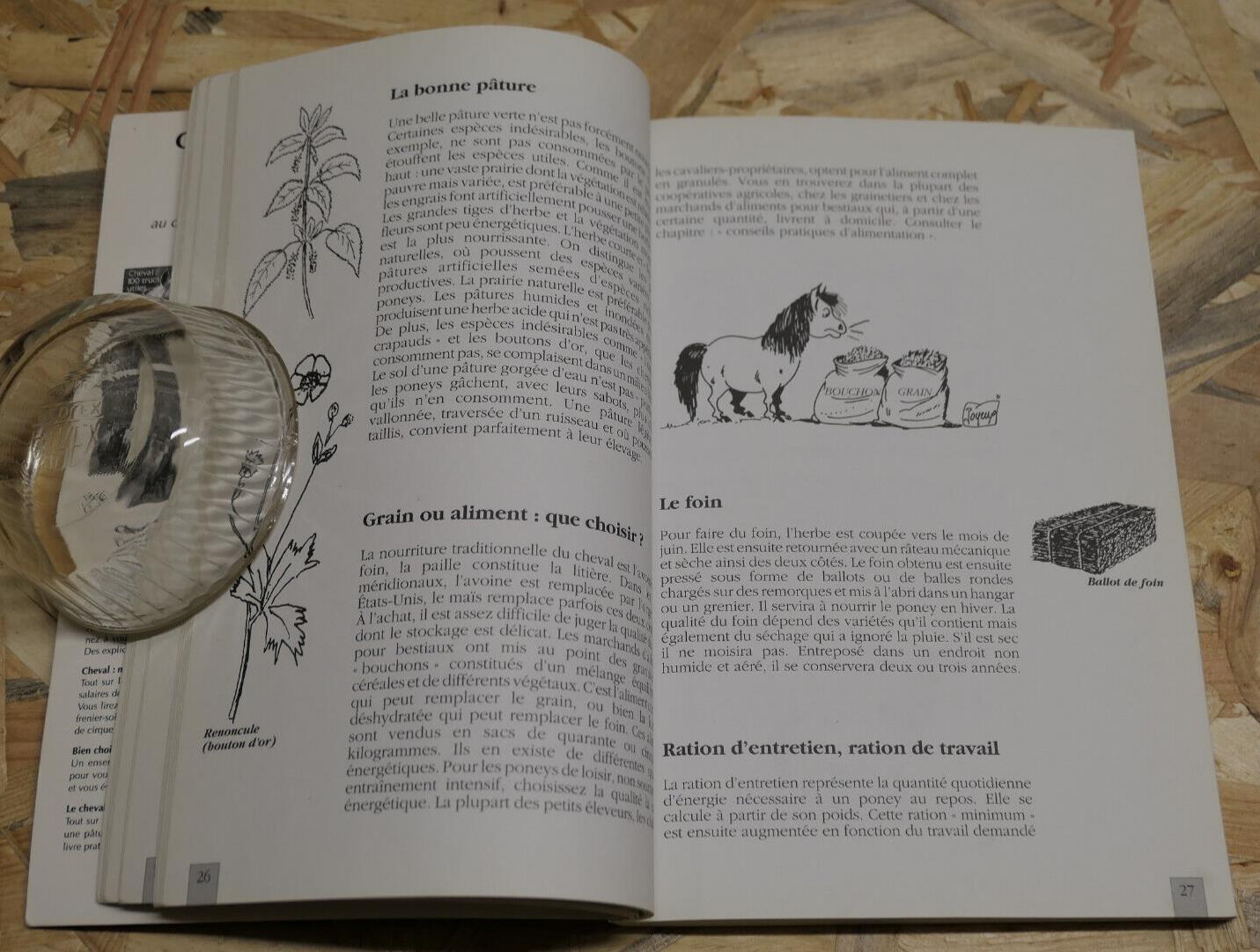 PONEY PRATIQUE EQUITATION PROPRIETE SOINS CONSEILS / CLAUDE LUX MALOINE 1991