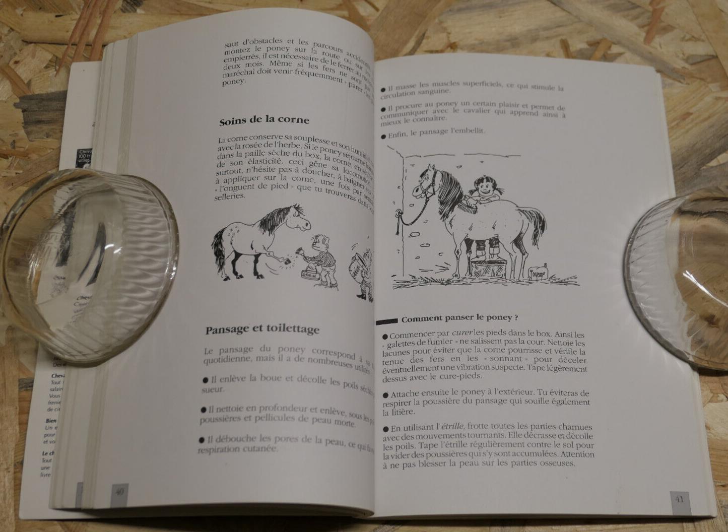 PONEY PRATIQUE EQUITATION PROPRIETE SOINS CONSEILS / CLAUDE LUX MALOINE 1991