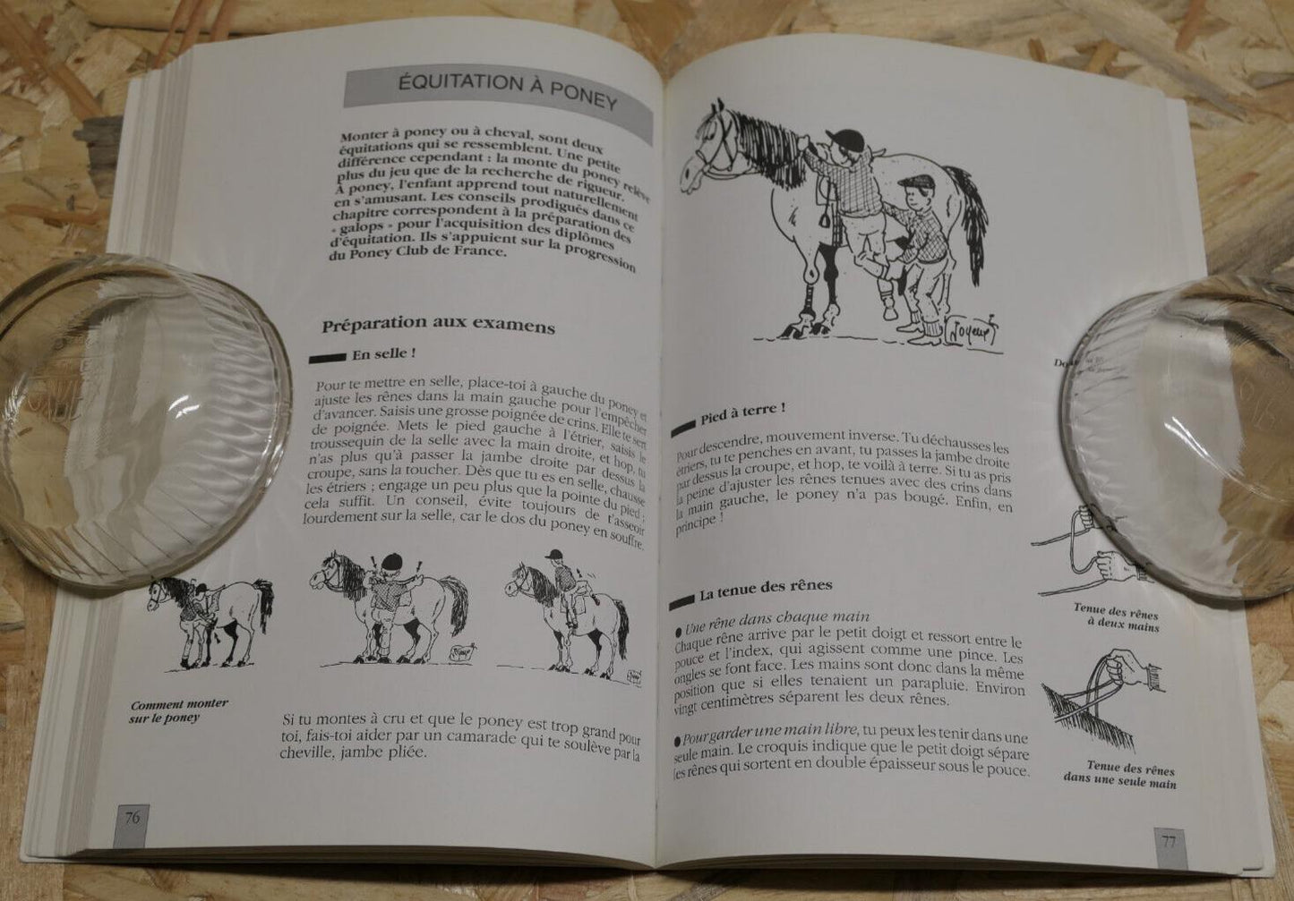 PONEY PRATIQUE EQUITATION PROPRIETE SOINS CONSEILS / CLAUDE LUX MALOINE 1991