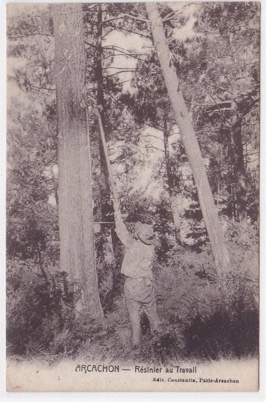 Carte Postale Ancienne CPA 33 - Arcachon - Résinier Au Travail