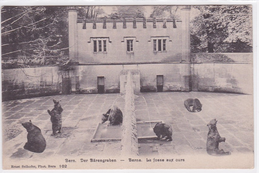 Old Postcard CPA Switzerland - Bern - The Bear Pit