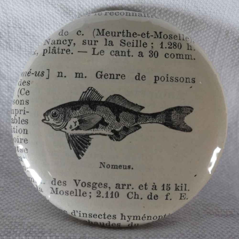 Nomeus - Badge Encyclopédique Original - Ancienne Gravure