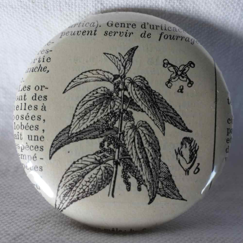 Orthopedics - Original Encyclopedic Badge - Antique Engraving
