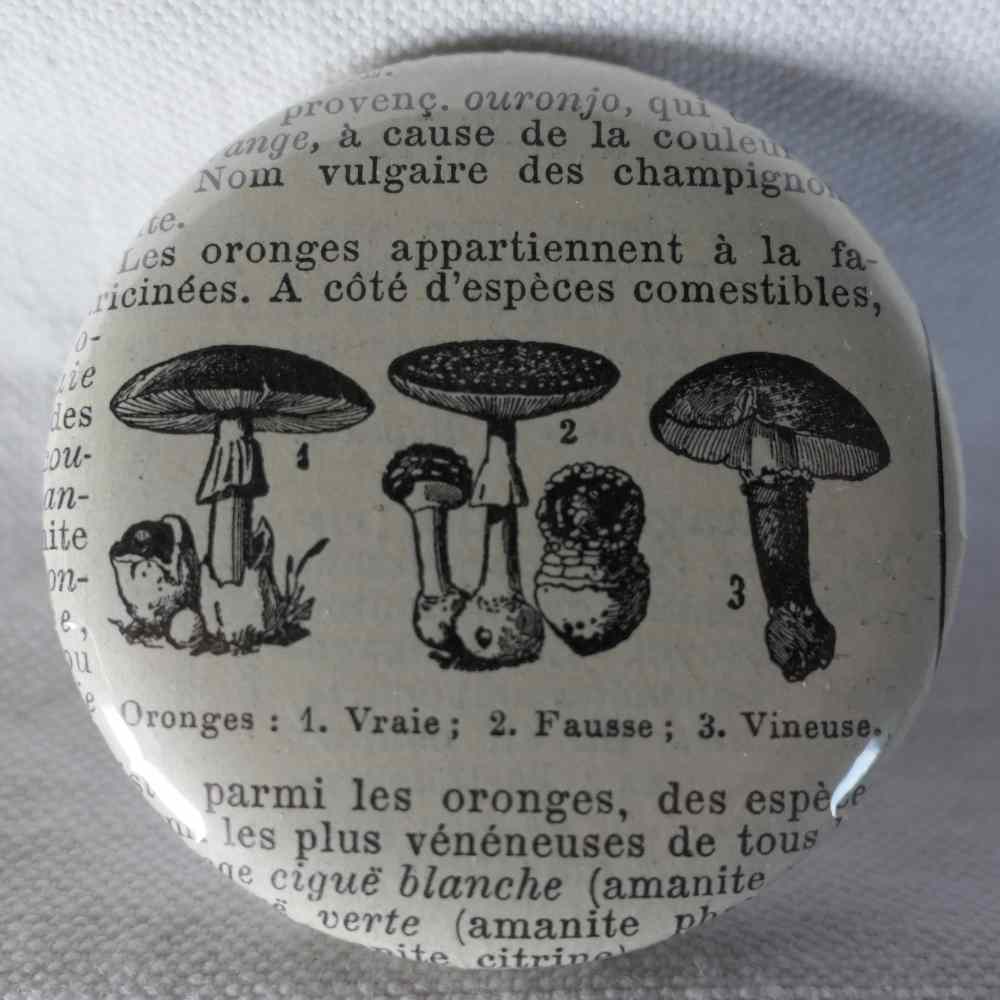 Champignon Oronge - Badge Encyclopédique Original - Ancienne Gravure