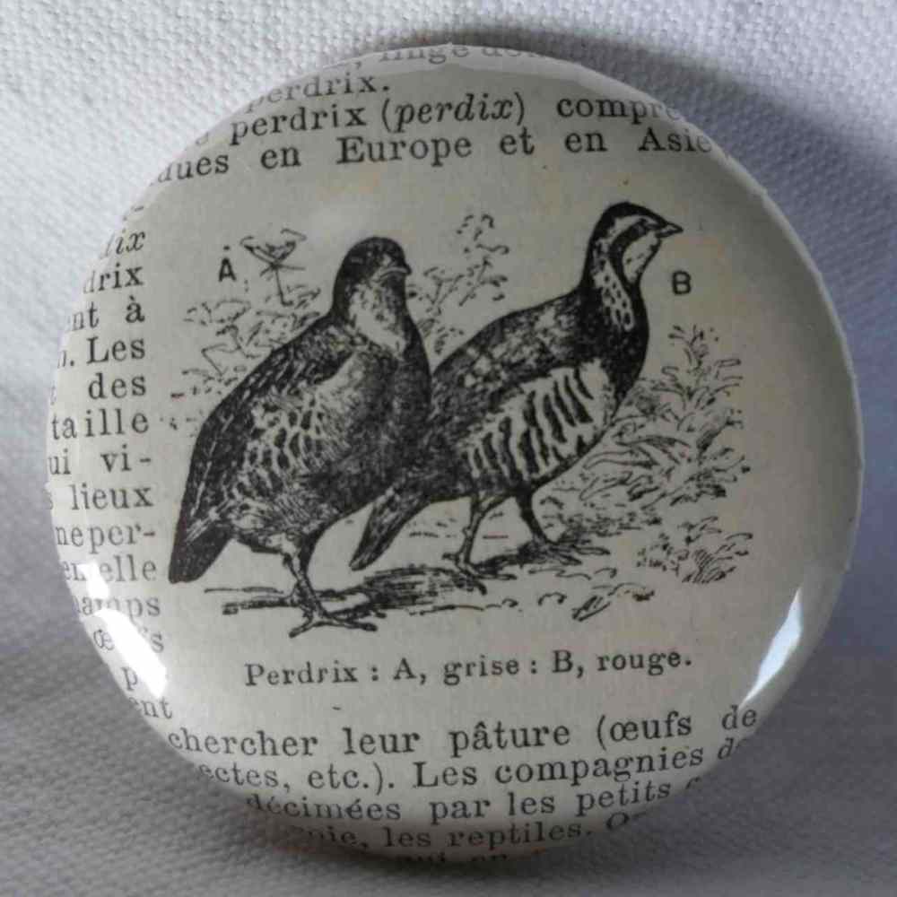 Perdrix - Badge Encyclopédique Original - Gravure Ancienne