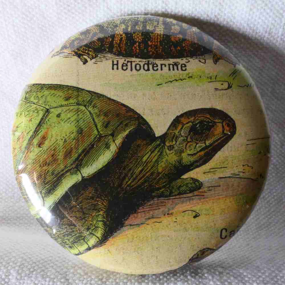 Tortue - Badge Encyclopédique Original - Ancienne Gravure