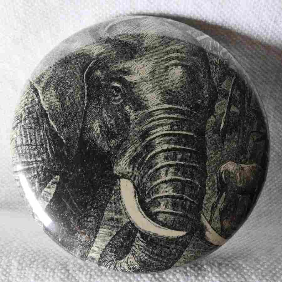 Éléphant - Badge Encyclopédique Original - Ancienne Gravure