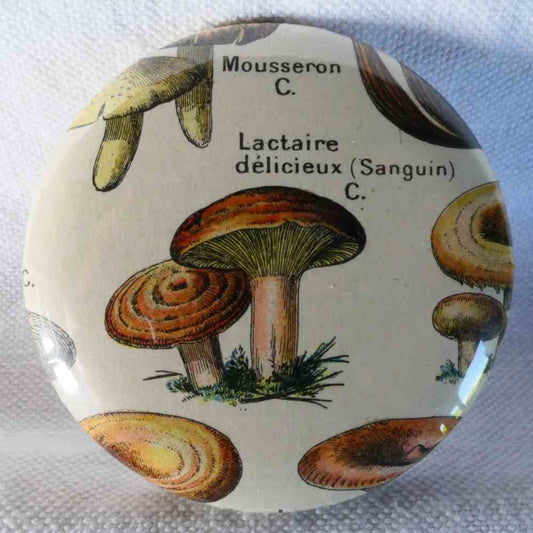 Lactaire Délicieux - Badge Encyclopédique Original - Ancienne Gravure